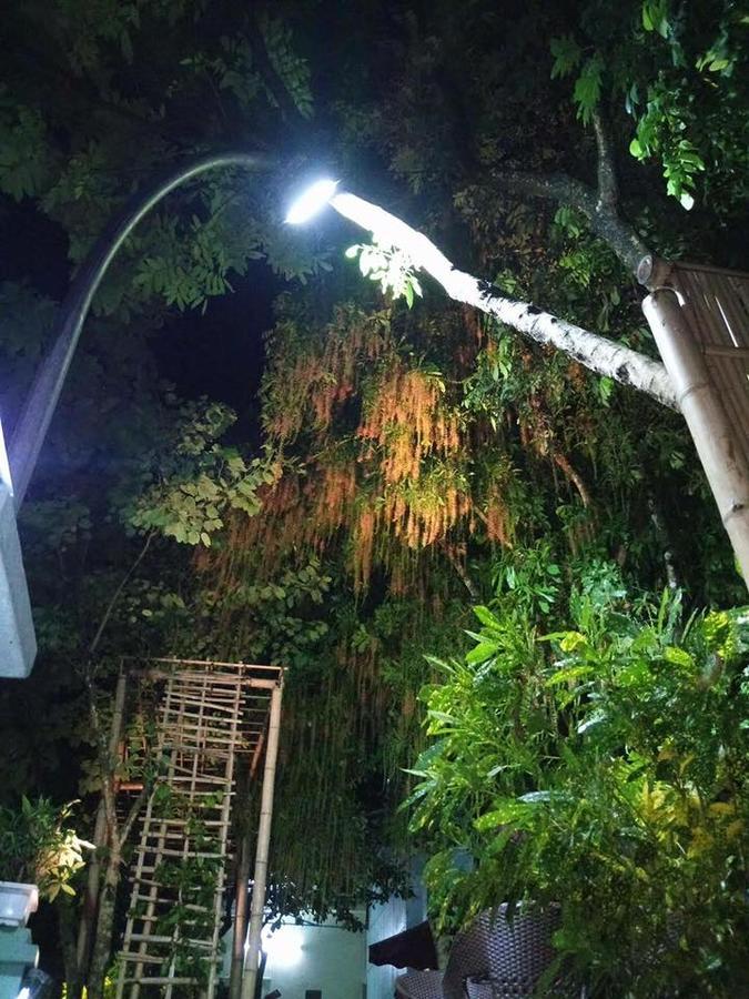 Mai Chau Mountains Hostel ภายนอก รูปภาพ